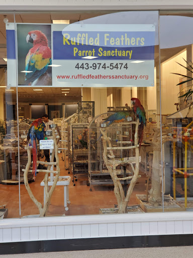 Shopping Mall «North Hanover Mall», reviews and photos, 1155 Carlisle St, Hanover, PA 17331, USA