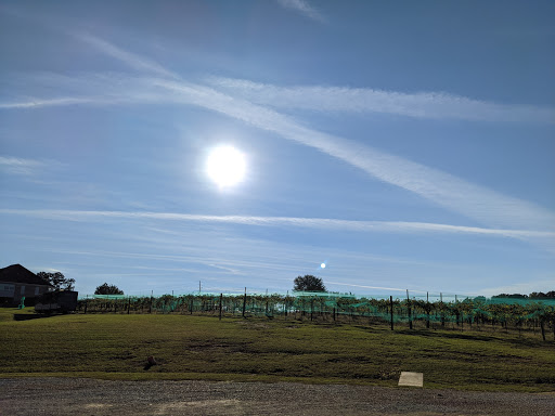 Winery «Little Vine Vineyards», reviews and photos, 665 N Hulett Rd, Villa Rica, GA 30180, USA