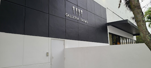 Galleria Farms
