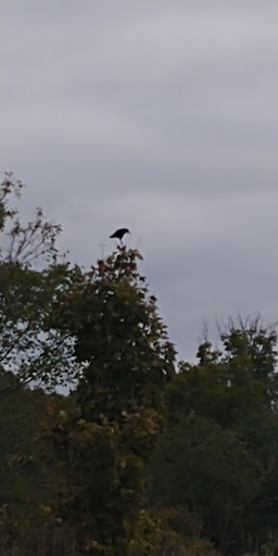 Tourist Attraction «Brandywine Gorge Trail», reviews and photos, 8176 Brandywine Rd, Sagamore Hills, OH 44067, USA