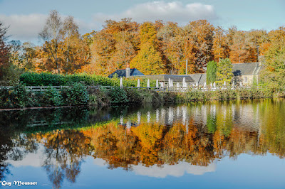 Étang de Villecartier à Bazouges-la-Pérouse