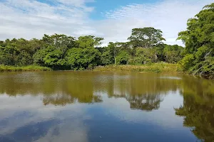 Parque do Goiabal image