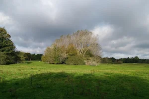 Aldermoors Nature Reserve image