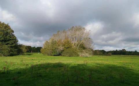Aldermoors Nature Reserve image