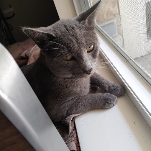 Pet Supply Store «Pet Supplies Plus», reviews and photos, 43665 Ford Rd, Canton, MI 48187, USA