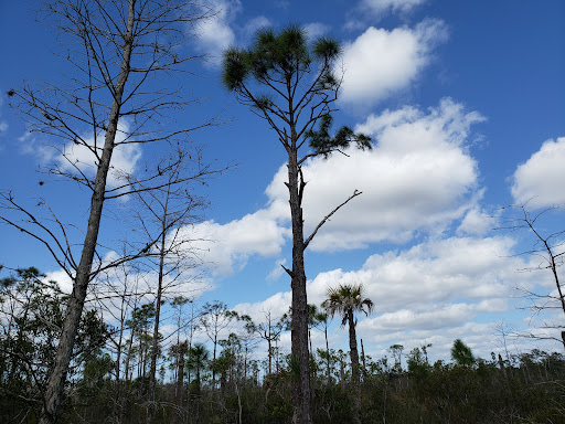 Nature Preserve «Grassy Waters Preserve», reviews and photos, 8264 Northlake Blvd, West Palm Beach, FL 33412, USA