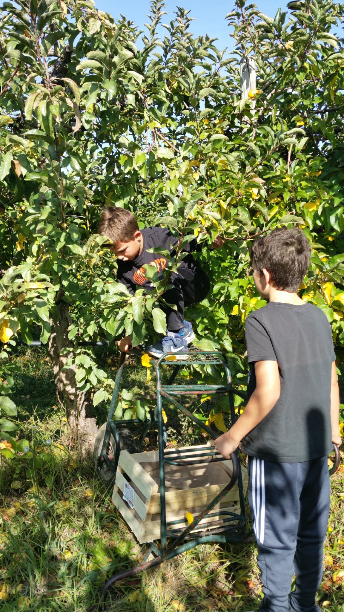 Photo n° 2 de l'avis de Frederic.h fait le 14/11/2019 à 13:00