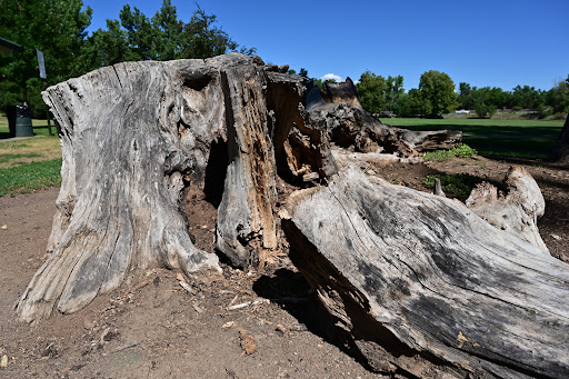 Park «Bear Creek Park», reviews and photos, 3550 S Raleigh St, Denver, CO 80236, USA