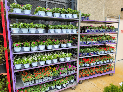 Home Improvement Store «The Home Depot», reviews and photos, 230 Oak Lee Dr, Ranson, WV 25438, USA