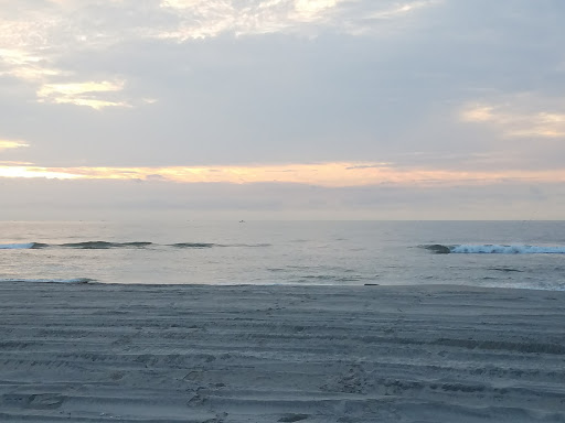 Historical Landmark «Lucy the Elephant», reviews and photos, 9200 Atlantic Ave, Margate City, NJ 08402, USA