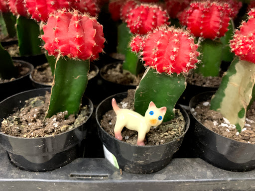 Home Improvement Store «The Home Depot», reviews and photos, 1200 Mayberry Dr, Highlands Ranch, CO 80129, USA