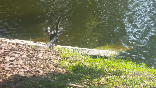 Golf Club «The River Club», reviews and photos, 6600 River Club Blvd, Bradenton, FL 34202, USA