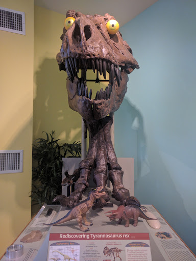 Museum «Elgin Public Museum», reviews and photos, 225 Grand Blvd, Elgin, IL 60120, USA