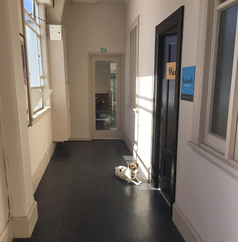 Thinksmith - Napier