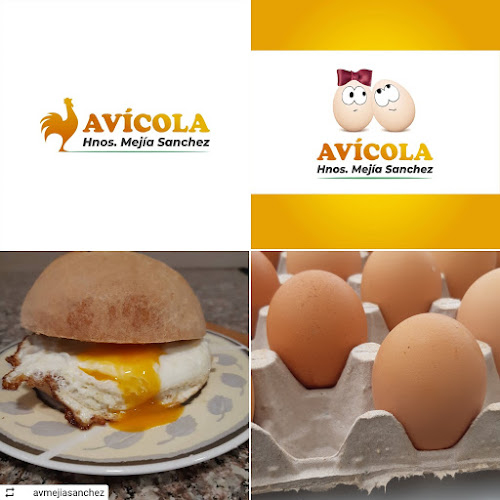 Avicola Mejia Sanchez - Supermercado