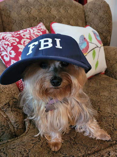 Pet Store «PetSmart», reviews and photos, 6545 North Grand Parkway West Suite 104, Spring, TX 77389, USA