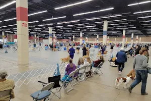 Amon G. Carter Jr. Exhibits Hall image