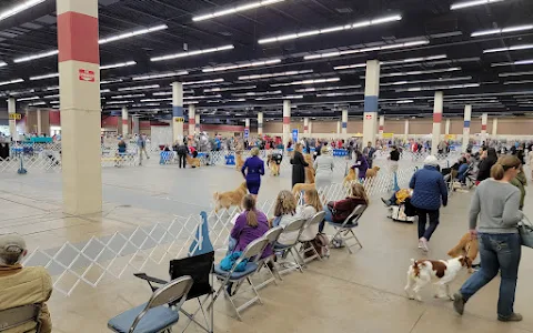 Amon G. Carter Jr. Exhibits Hall image