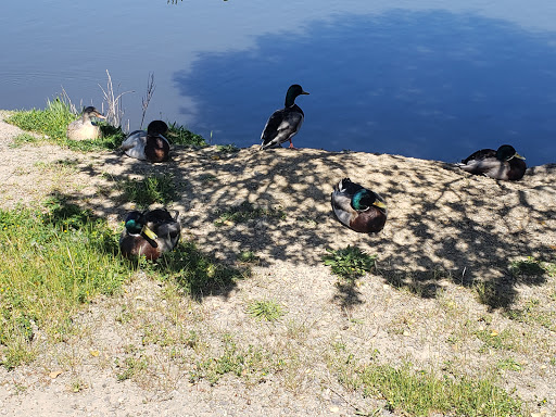Kennedy Park image