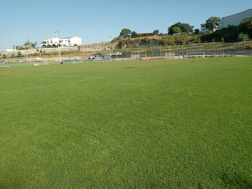 Club Deportivo Aviña