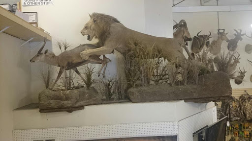 Gun Shop «Guns Fishing & Other Stuff», reviews and photos, 197 Butcher Rd, Vacaville, CA 95687, USA