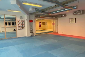 Lyderhorn Karateklubb image
