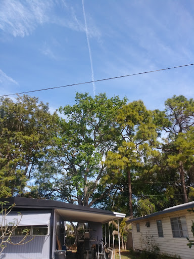 Car Battery Store «Batteries Plus Bulbs», reviews and photos, 28560 US Hwy 19 N, Clearwater, FL 33761, USA