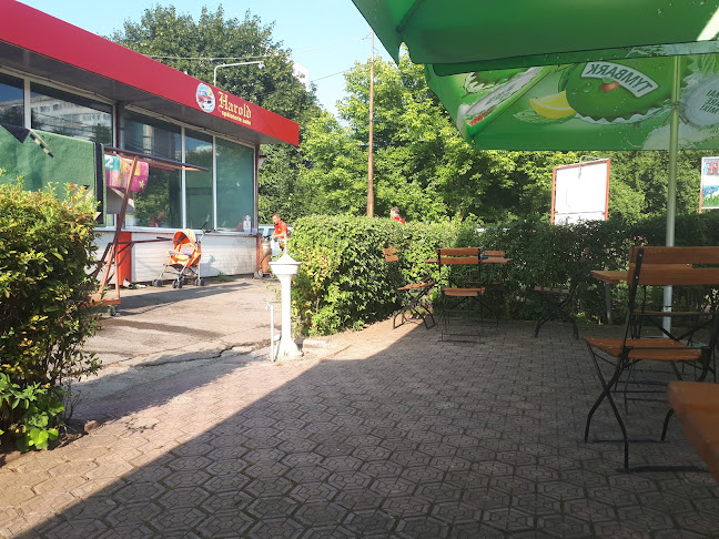 orar Spalatorie auto Harold