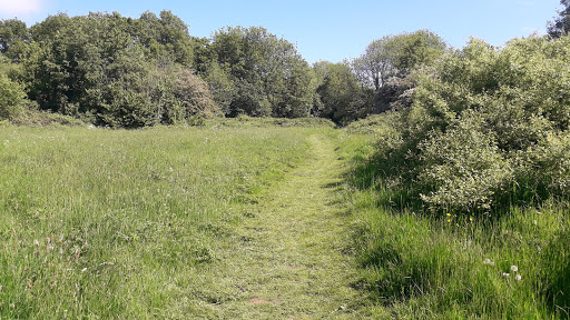 West Park Meadow Nature Reserve