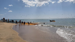 Sinnapaduwa Beach'in fotoğrafı ve yerleşim