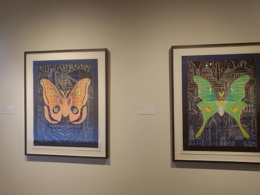 History Museum «Hallie Ford Museum of Art», reviews and photos, 700 State St, Salem, OR 97301, USA