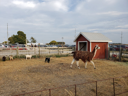 Orchard «Tuttle Orchards», reviews and photos, 5717 N 300 W, Greenfield, IN 46140, USA