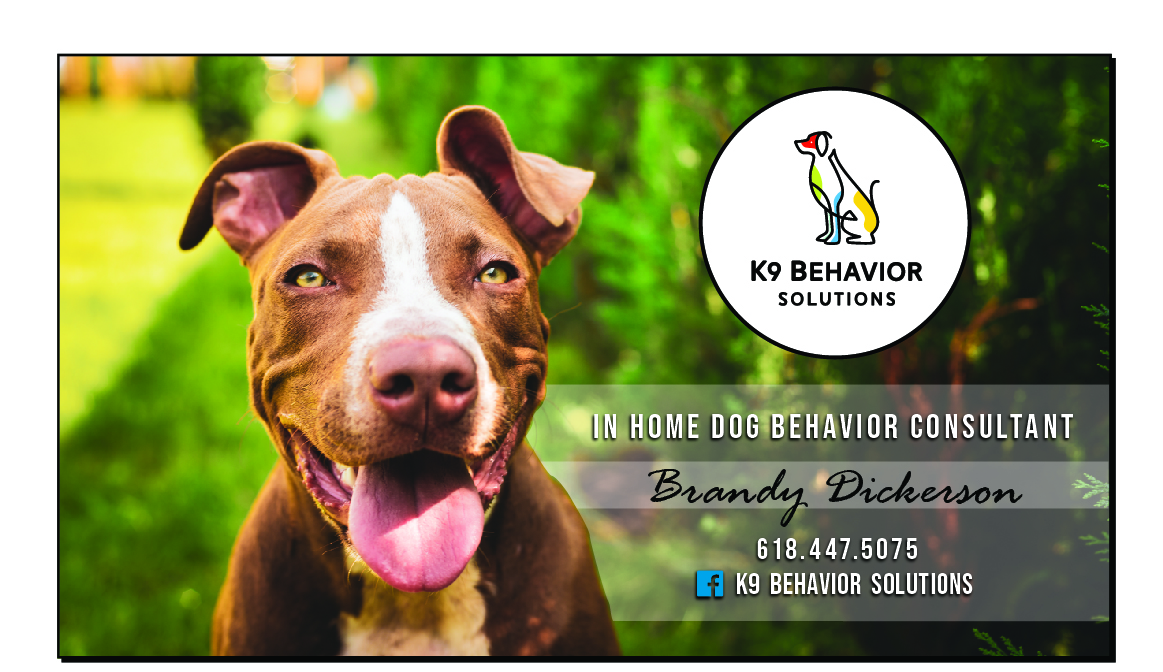 K9 Behavior Solutions