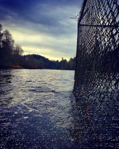 Public Golf Course «Chambers Bay», reviews and photos, 6320 Grandview Dr W, University Place, WA 98467, USA
