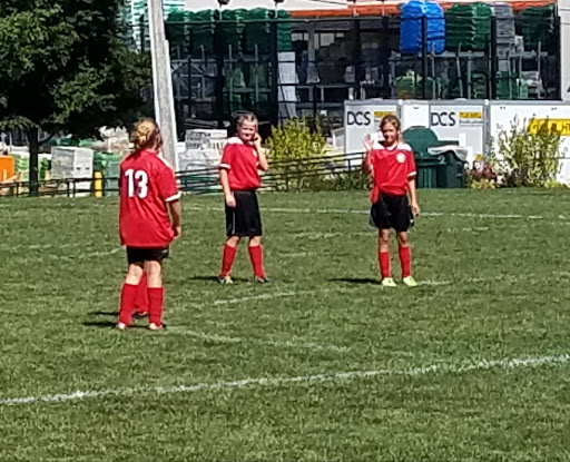 Window Tint Countryside, IL