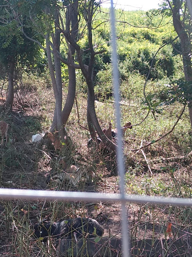 Fortress «Battery Weed», reviews and photos, N Weed Rd, Staten Island, NY 10305, USA