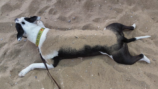 Park «Rainbow Family Park», reviews and photos, 7151 W Oakey Blvd, Las Vegas, NV 89117, USA