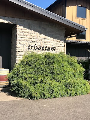 Trisaetum Winery - photo 51