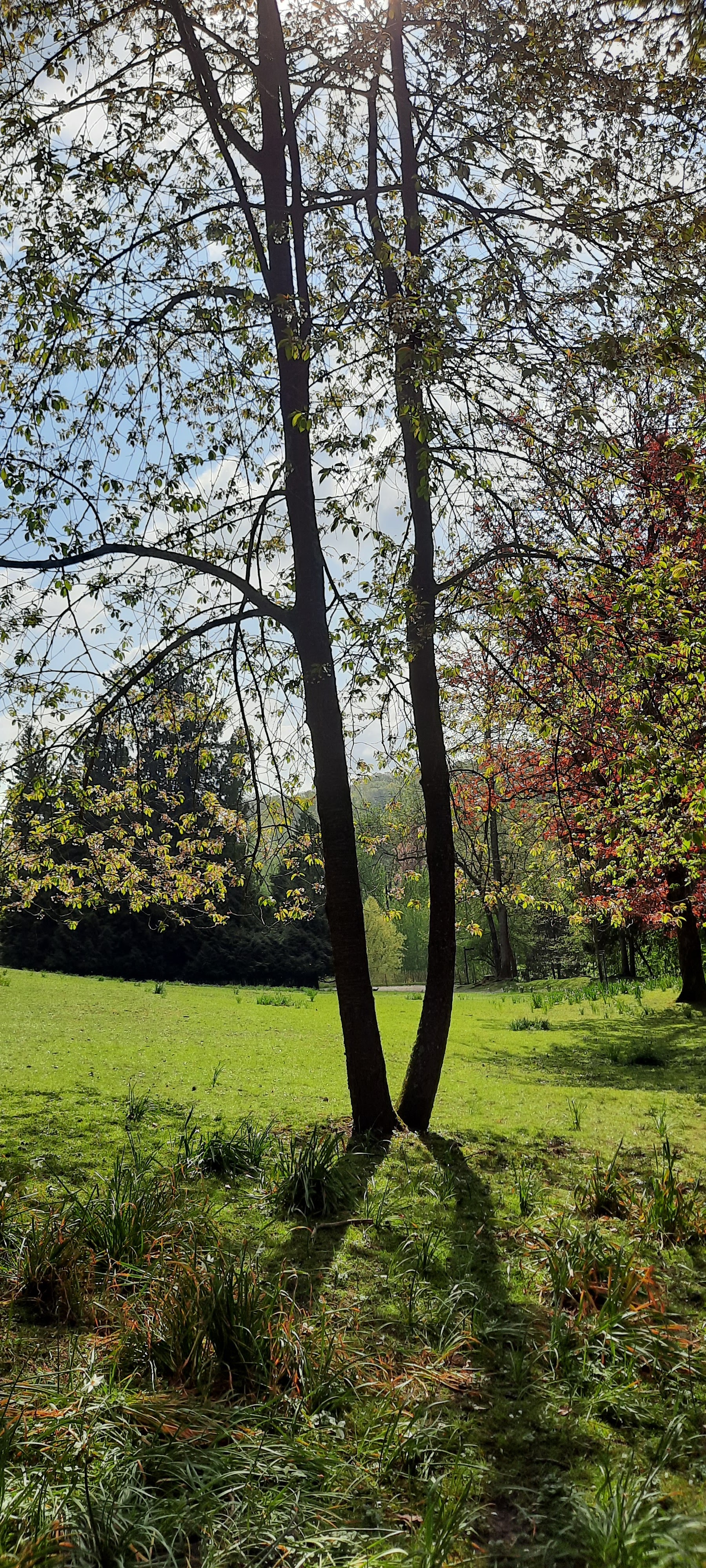 Photo n° 3 de l'avis de Jean-Charles.e fait le 02/05/2023 à 14:13