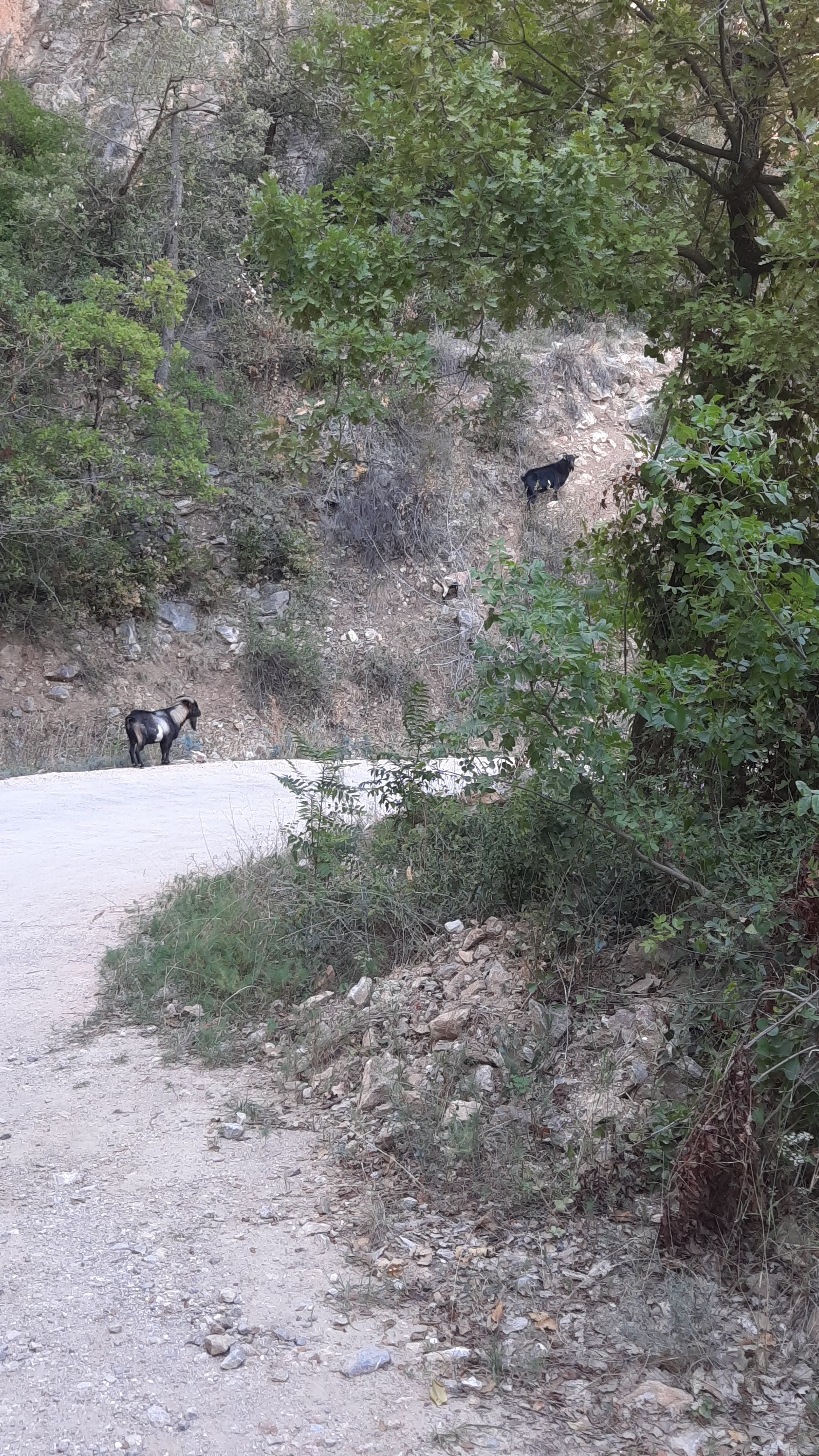 Photo n° 3 de l'avis de Anne.e fait le 28/09/2023 à 13:49
