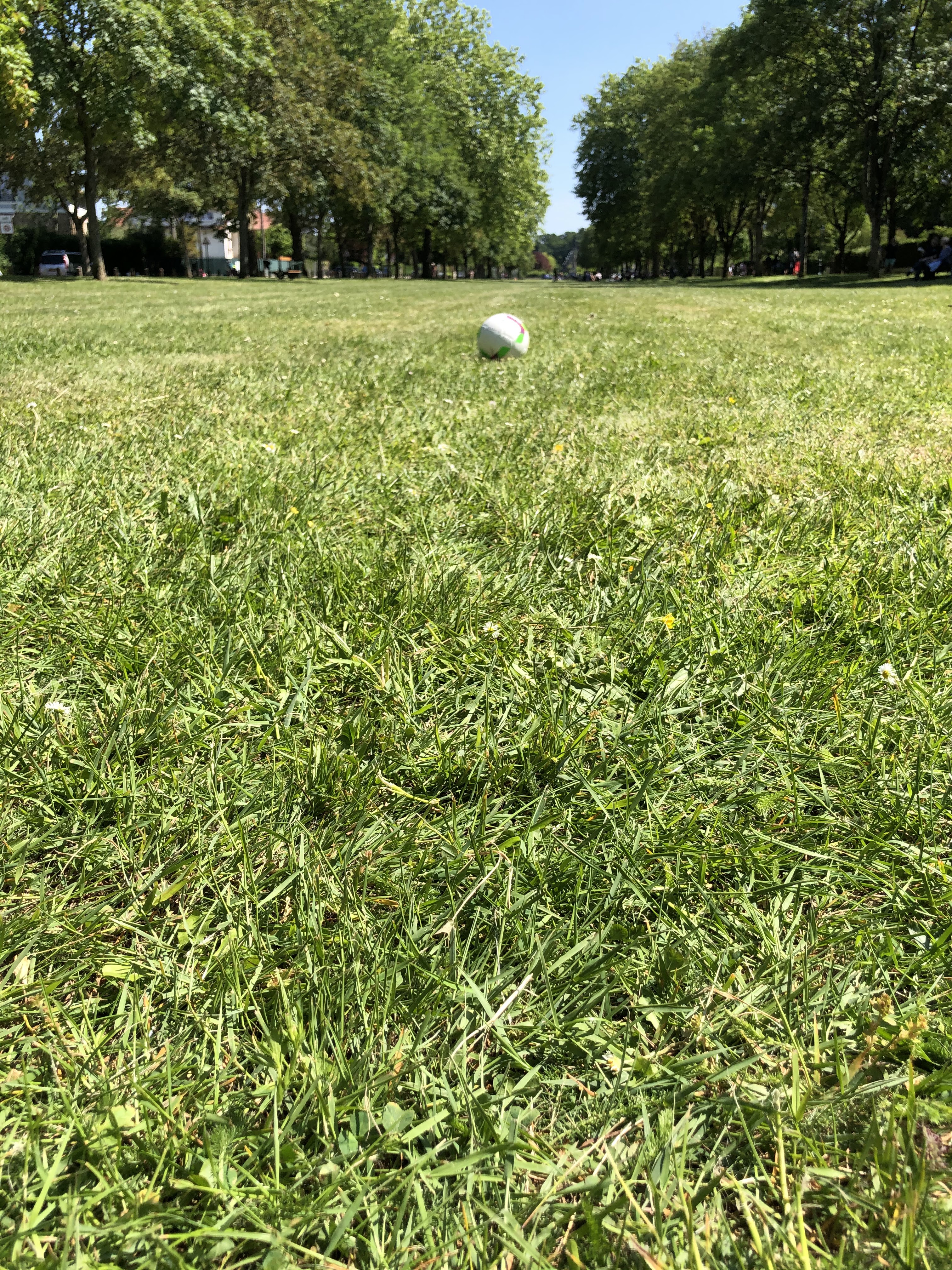 Photo n° 11 de l'avis de Sergiu.u fait le 17/05/2020 à 13:43