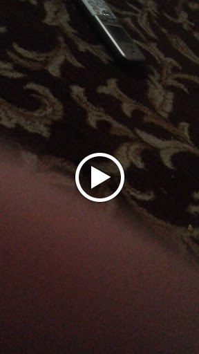 Auditorium «Harvey Community Center», reviews and photos, 15320 Center Ave, Harvey, IL 60426, USA