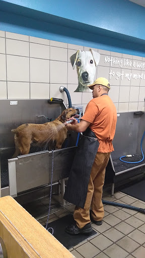 Pet Supply Store «Pet Supplies Plus - Stephenville», reviews and photos, 106 Christy Plaza, Stephenville, TX 76401, USA