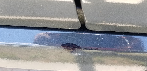 Auto Body Shop «Econo Auto Painting & Body Wrk», reviews and photos, 7020 N Dale Mabry Hwy, Tampa, FL 33614, USA