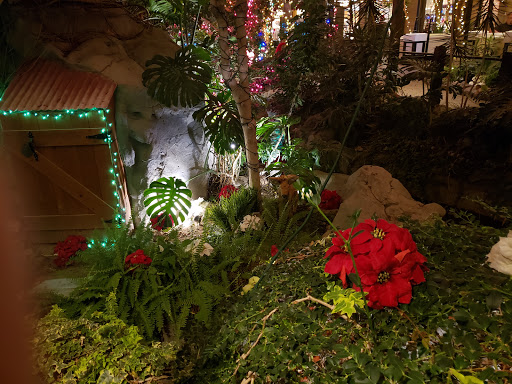 Garden «Mystic Falls Park», reviews and photos, 5111 Boulder Hwy, Las Vegas, NV 89122, USA