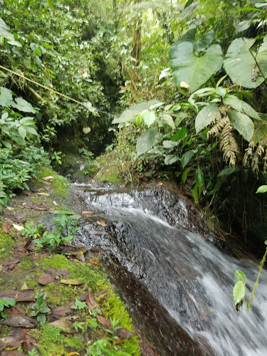 29G9+82G, Quito, Ecuador