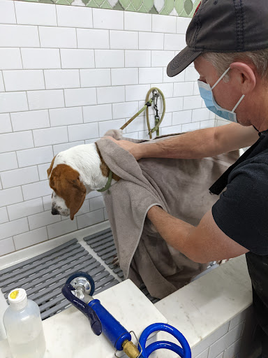 Pet Supply Store «Northside Grange», reviews and photos, 4116 Hamilton Ave, Cincinnati, OH 45223, USA