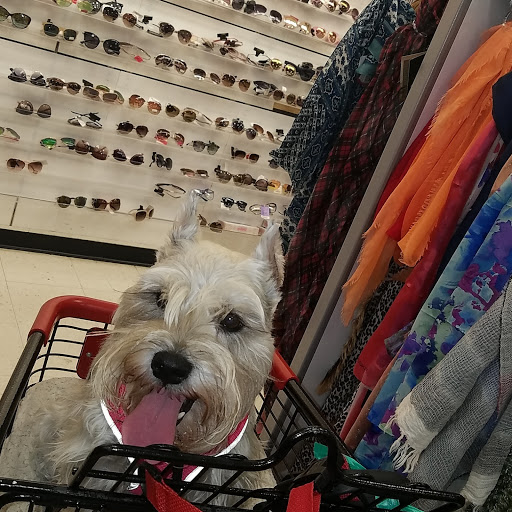 Department Store «T.J. Maxx», reviews and photos, 30805 Thousand Oaks Blvd, Westlake Village, CA 91362, USA