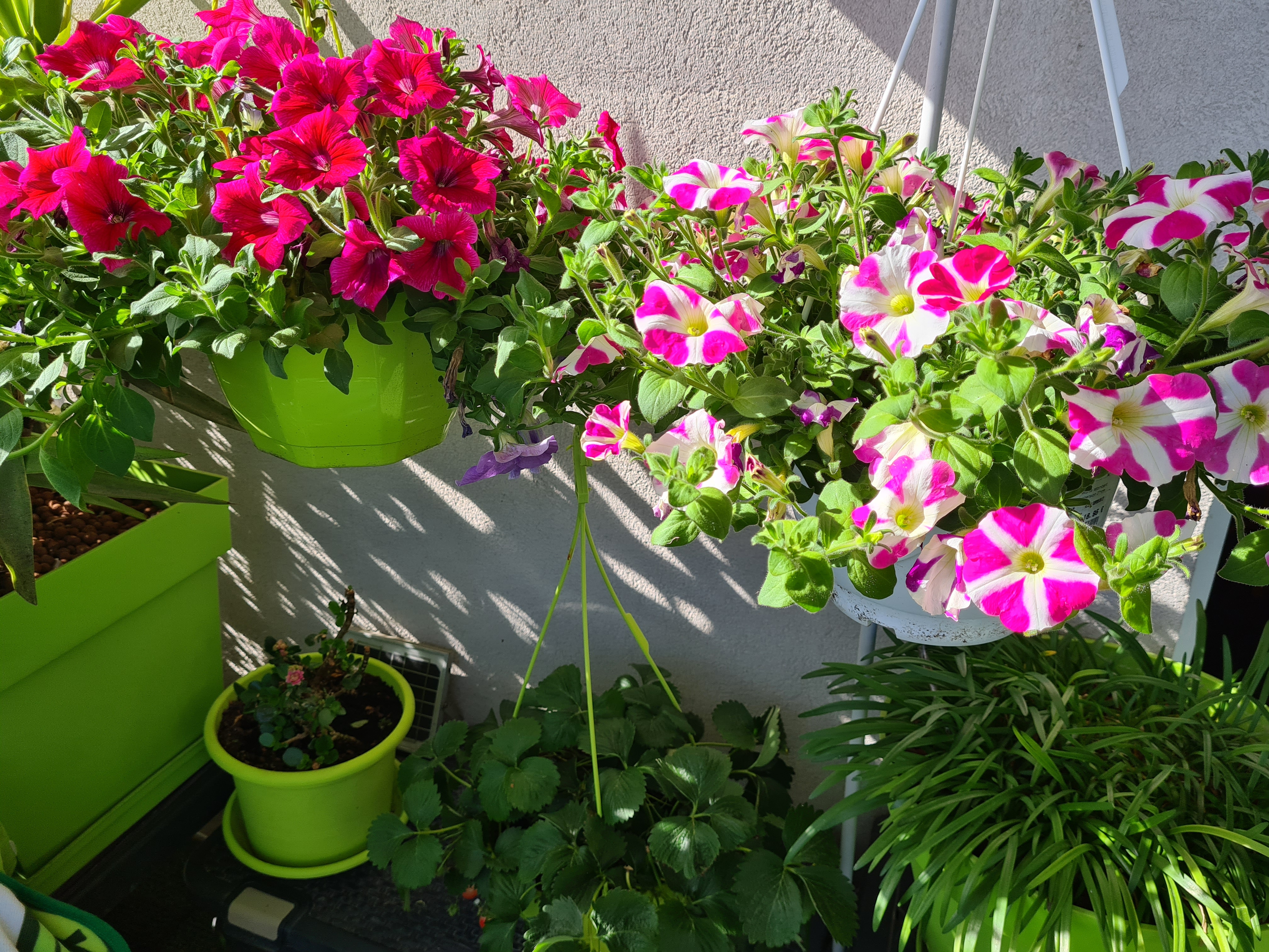 Photo n° 2 de l'avis de Marie.a fait le 07/05/2023 à 17:28