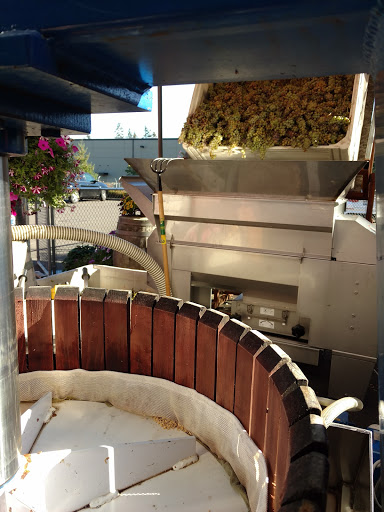 Winery «Madsen Family Cellars», reviews and photos, 2825 Marvin Rd NE #D, Olympia, WA 98516, USA